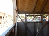 DSCN5401