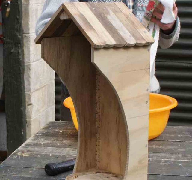 bird3.jpg