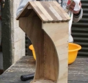 bird3.jpg